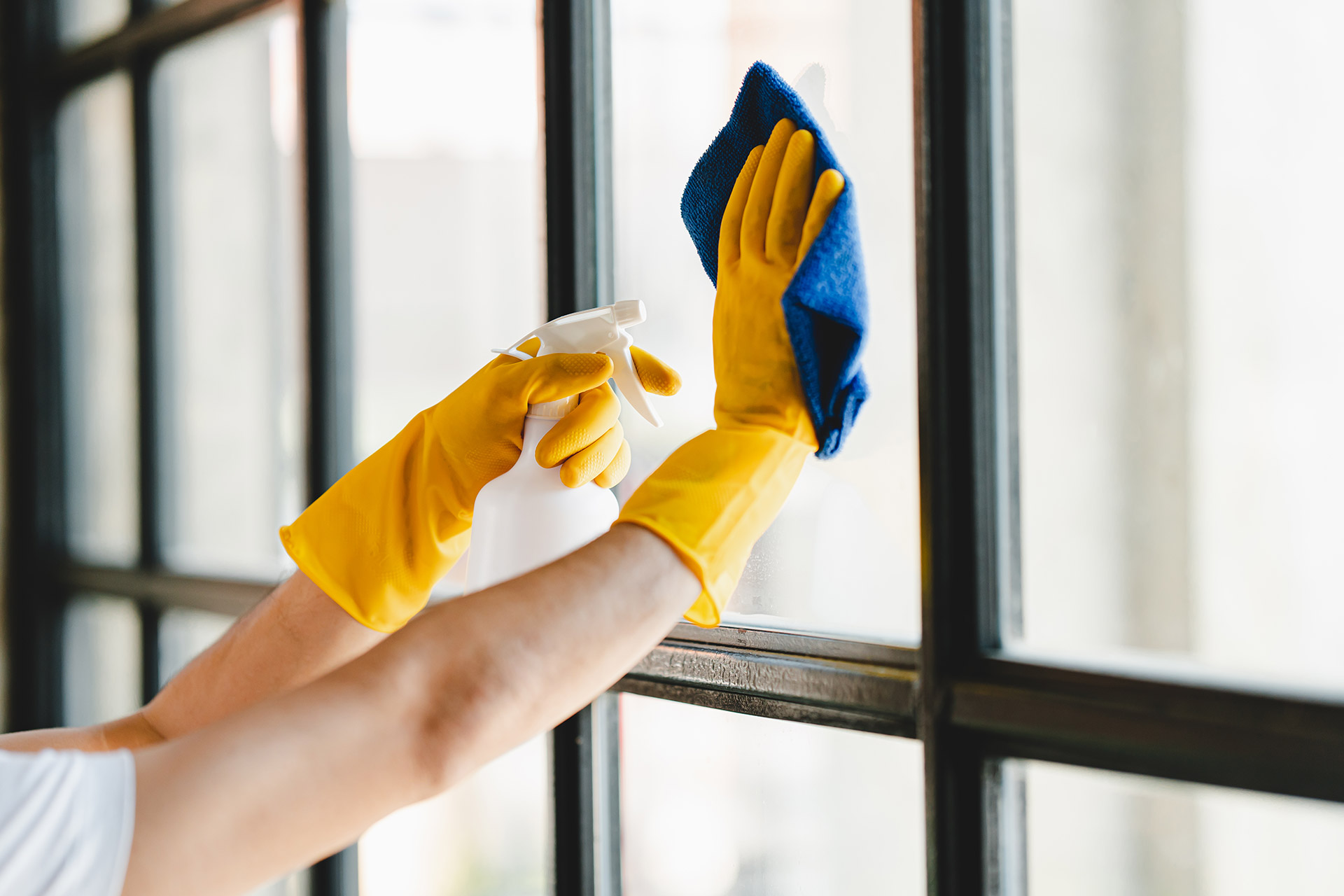 Professional Cleaning in Manchester